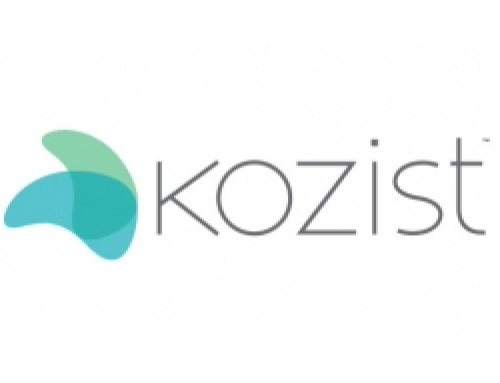 Kozist Branding, Social Media and Explainer Video