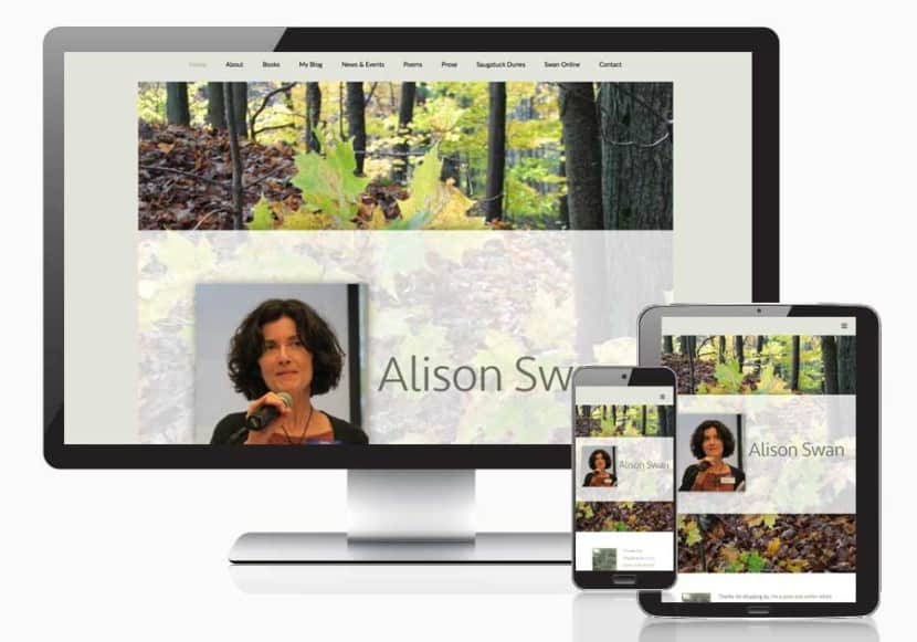 Alison Swan website